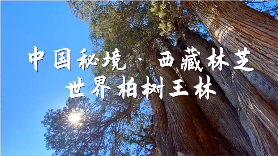郭德纲助理王楠被开除后，知名导演坦言：德云社还有三人该被开除，你咋看？