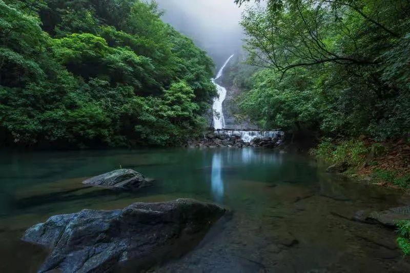 卡通骆驼救援